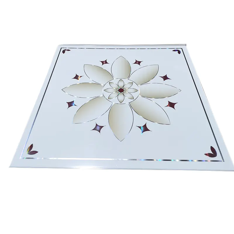 Tuiles de plafond suspendu 2 * 4